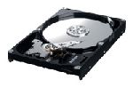Винчестер SATA Samsung 80Gb 7200, (HD082GJ) (шт.)