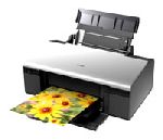 Принтер EPSON Stylus Photo R290 (шт.)